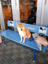 aoki_071214.jpg