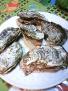 aoki_071225_1.jpg