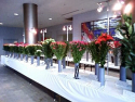 aoki_080407_2.jpg