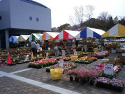 aoki_080407_3.jpg