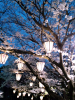 aoki_110407_1.jpg