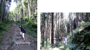 aoki_110630_1-2.jpg