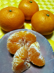 aoki_210325_2.jpg