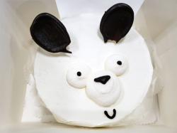 aoki_210528_1.jpg