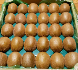 aoki_220124_2.jpg