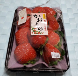 aoki_231225_3.jpg