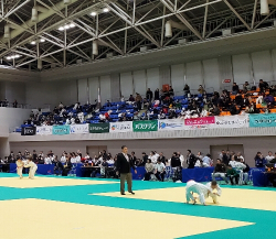 aoki251225-6.jpg