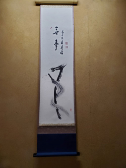 aoki_250217_8.jpg
