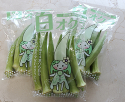 aoki_250820_1.jpg