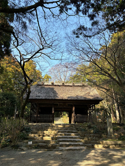 harada_230329_1.jpg