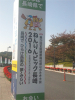 kitagawa_151026_14