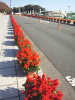 kitagawa_151026_2