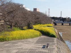 kitagawa_240315_2.jpg