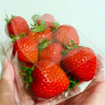 mutou_210212_1.jpg