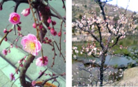 suizu_080222.jpg