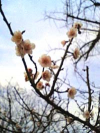 suizu_080311_3.jpg