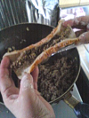 suizu_080408_6.jpg