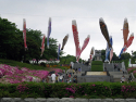 suizu_080508_2.jpg