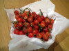 suizu_080509_3.jpg