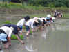 suizu_080610_1.jpg