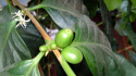 suizu_110413_2.jpg