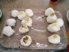 suizu_110615_1.jpg