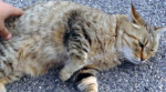 makoto_071116_2.jpg