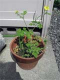 takahashi_070427.jpg
