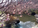 takahashi_210222_1.jpg