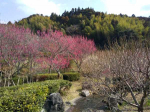 takahashi_210222_2.jpg