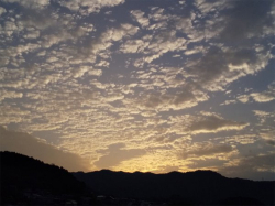 takahashi_210623_4.jpg