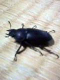 takeshige_070816_6.jpg