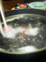 takeshige_080402_3.jpg