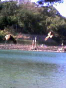 takeshige_080404_11.jpg