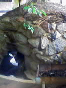 takeshige_080526_3.jpg
