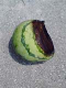 yamamoto_070709.jpg