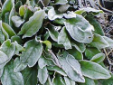 yamamoto_080104_1.jpg