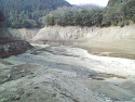yamamoto_080111_4.jpg