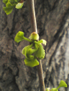 yamamoto_080411_3.jpg