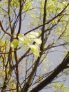 yamamoto_080411_7.jpg
