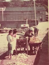 ���܂���