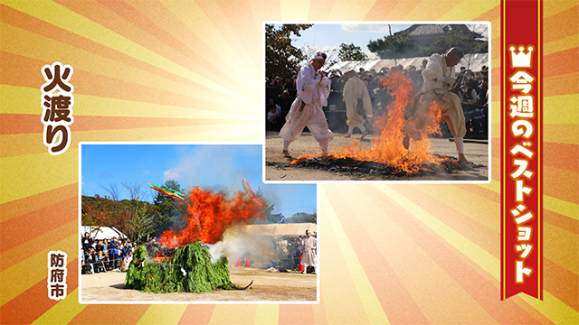 2025年11月2日(火)~11月7日(金)