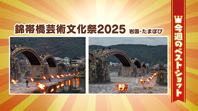 2025年11月10日(月)~11月14日(金)