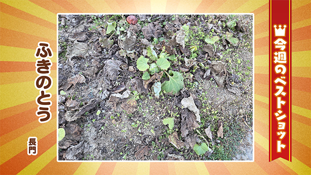 2026年1月26日(火)~30日(金)