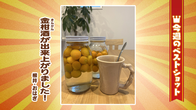 2026�N2��16��(��)�`20��(��)