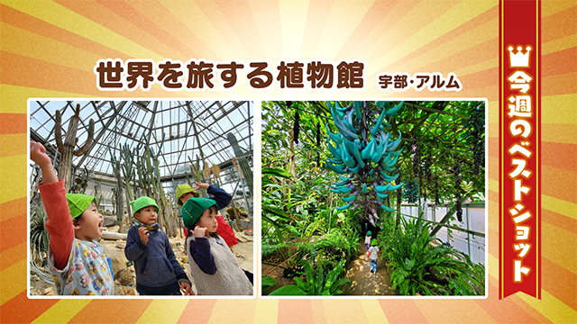 2026年3月30(月)~4月03日(金)