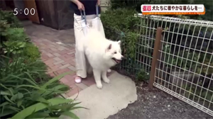 fukasawa_190625_3