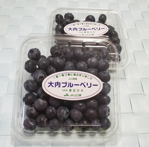 aoki_250715_2.jpg