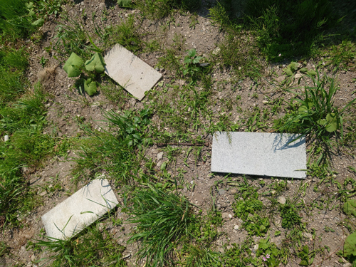 kitagawa250602_8.jpg