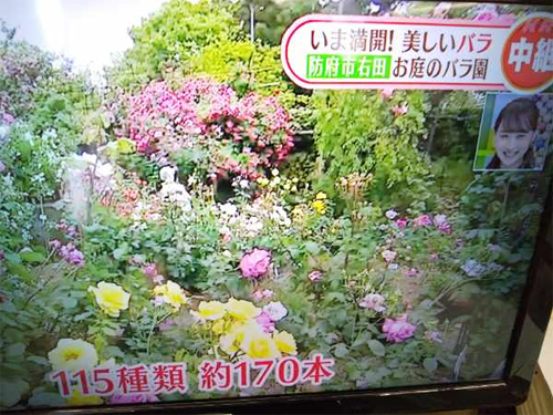 takahashi_220517_1.jpg